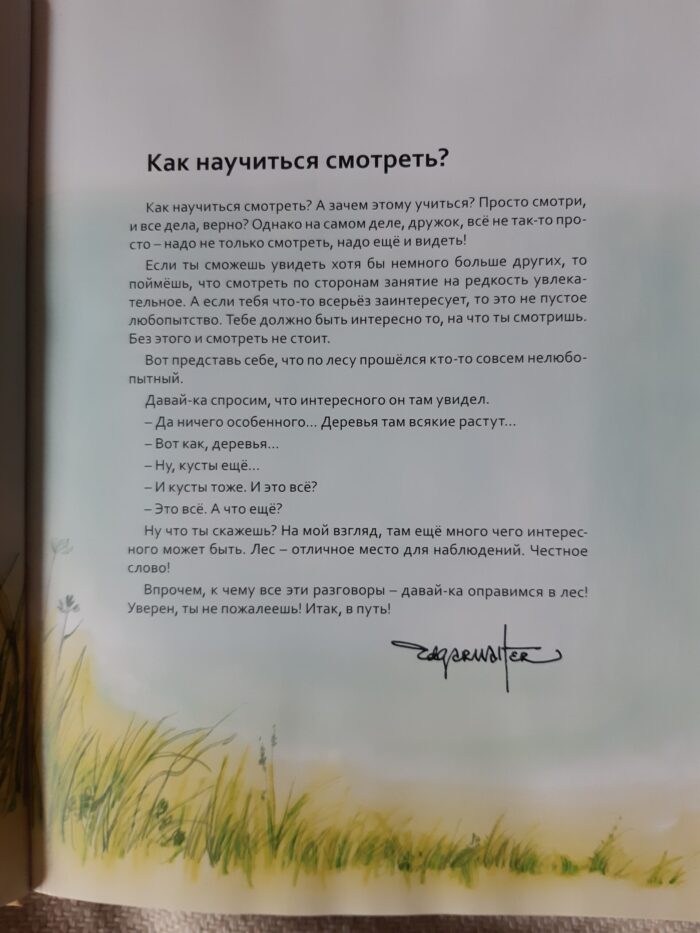 Э. Вальтер "Смотри и увидишь" — изображение 2